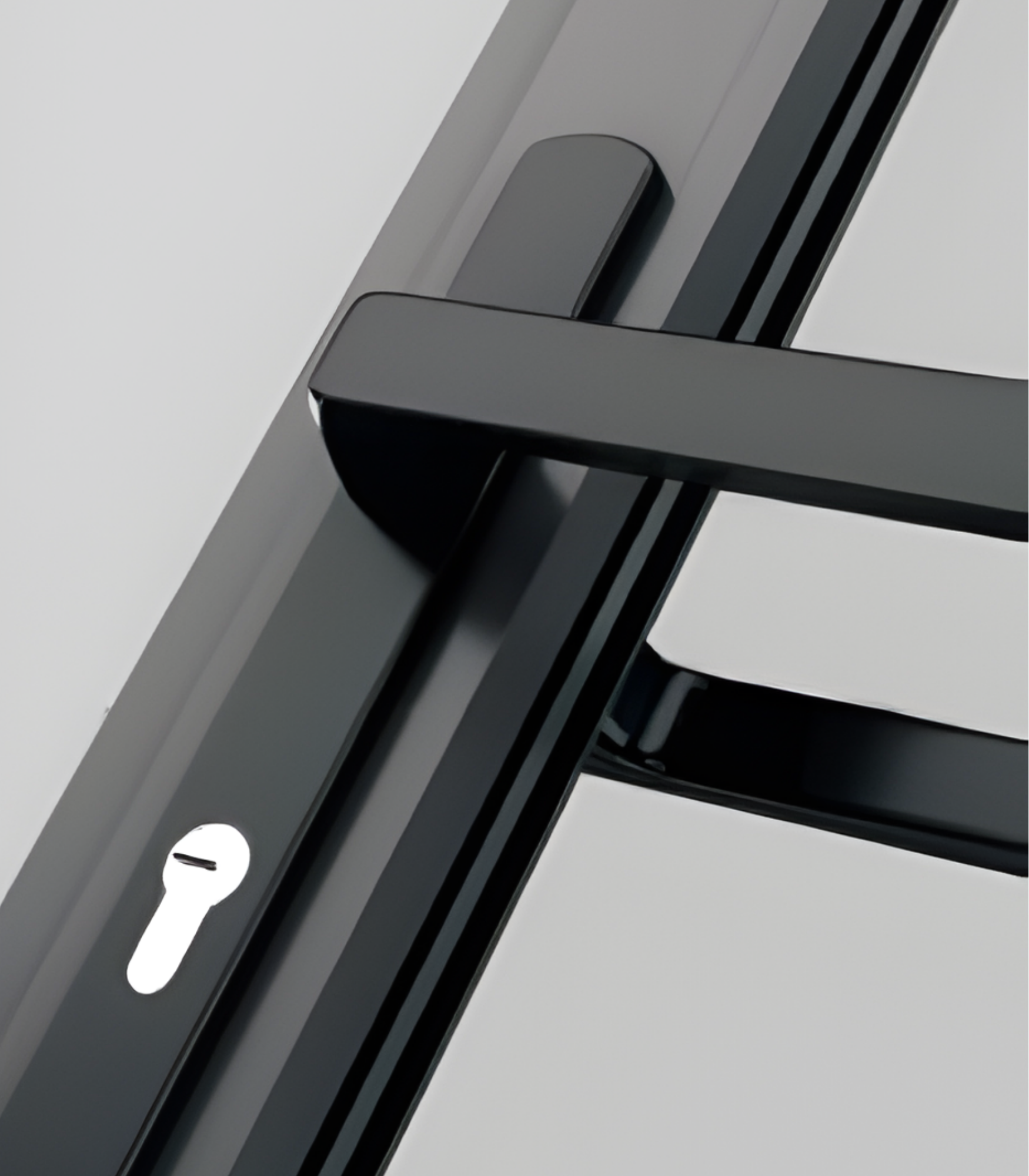 VLX 100 Swing / Entry Door in Miami, FL | TruePane Windows & Doors - detail 3