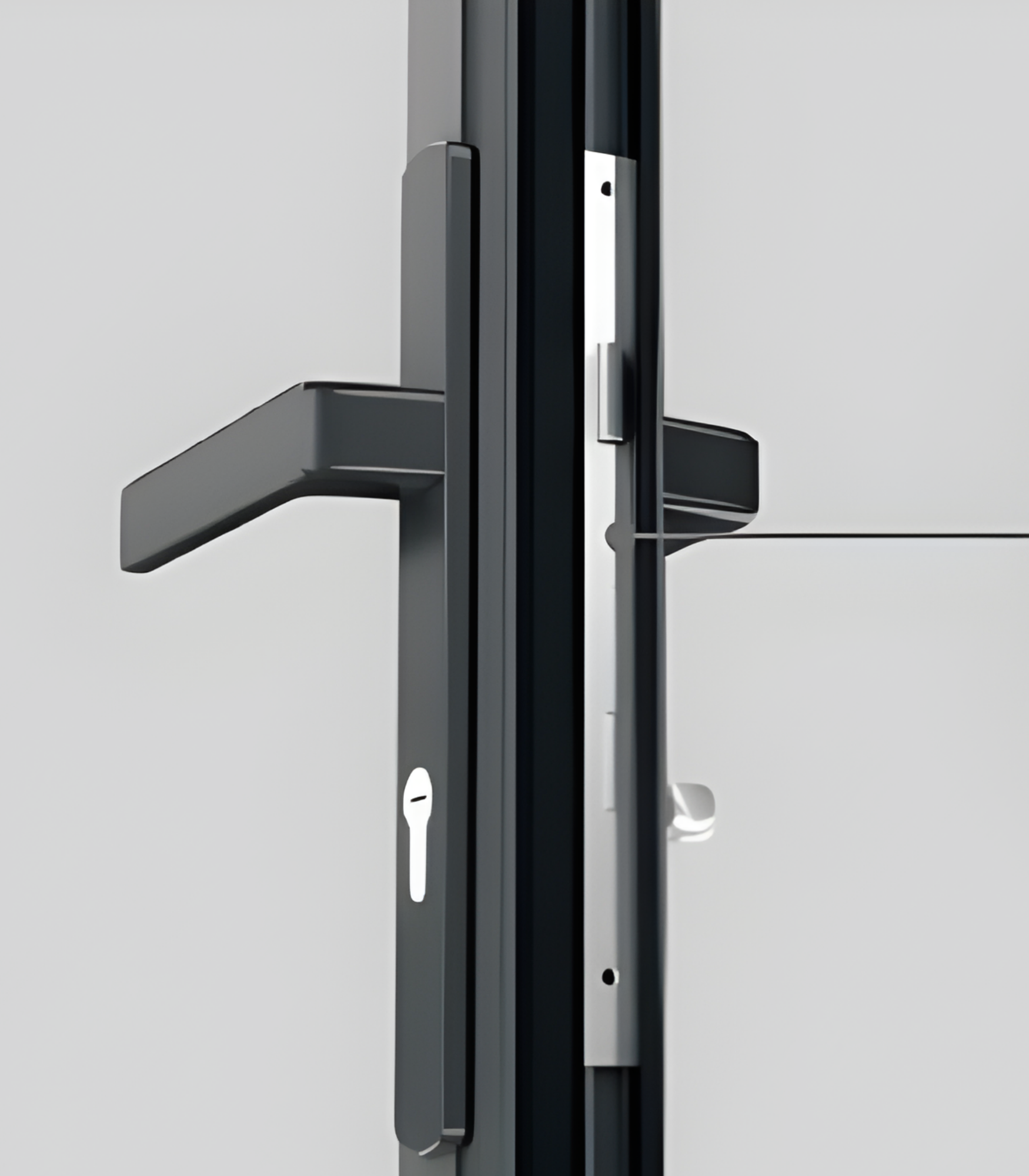 VLX 100 Swing / Entry Door in Miami, FL | TruePane Windows & Doors - detail 5